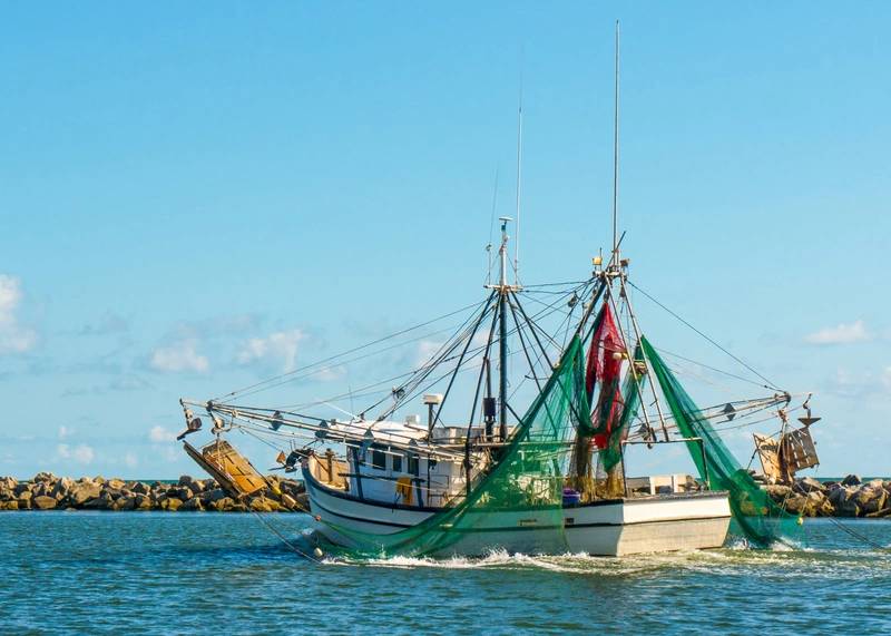 BOEM Finalizes Offshore Wind Fisheries Mitigation